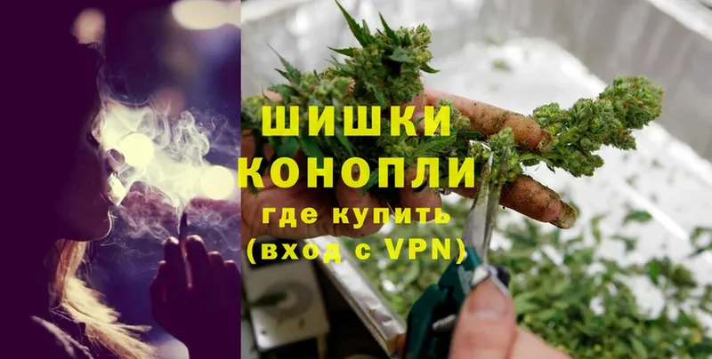 Конопля OG Kush  Кострома 